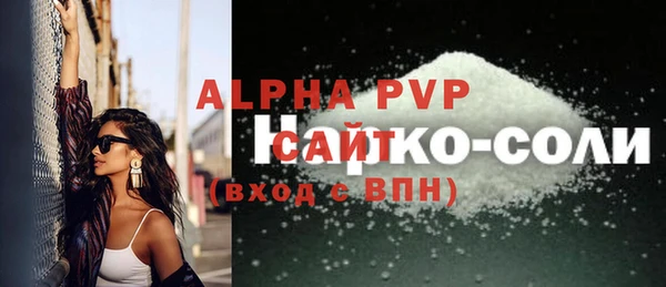 молекула духа Новодвинск
