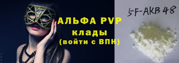 молекула духа Новодвинск