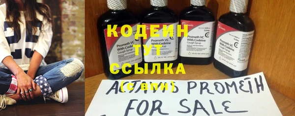 apvp Няндома