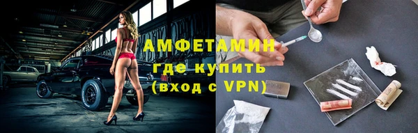 молекула духа Новодвинск