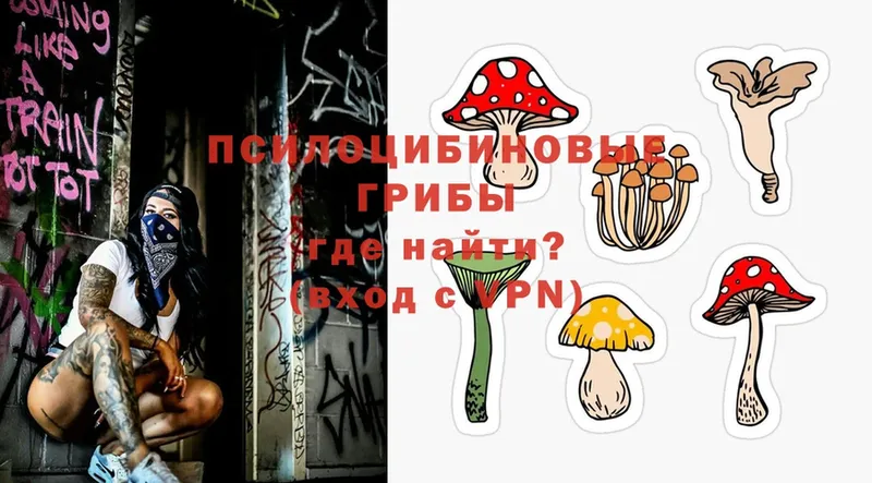 Галлюциногенные грибы Magic Shrooms  маркетплейс формула  Костерёво 